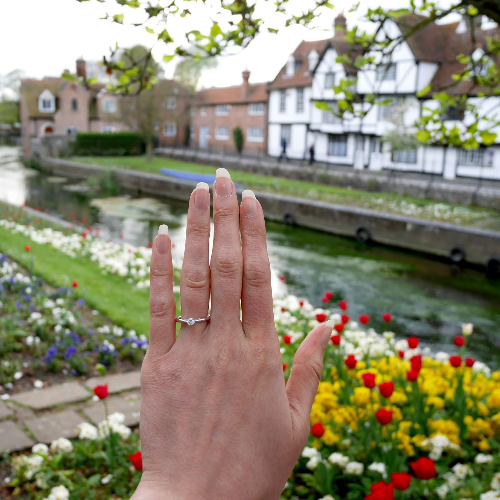 A close up of my engagement ring in Westgate Gardens, Canterbury