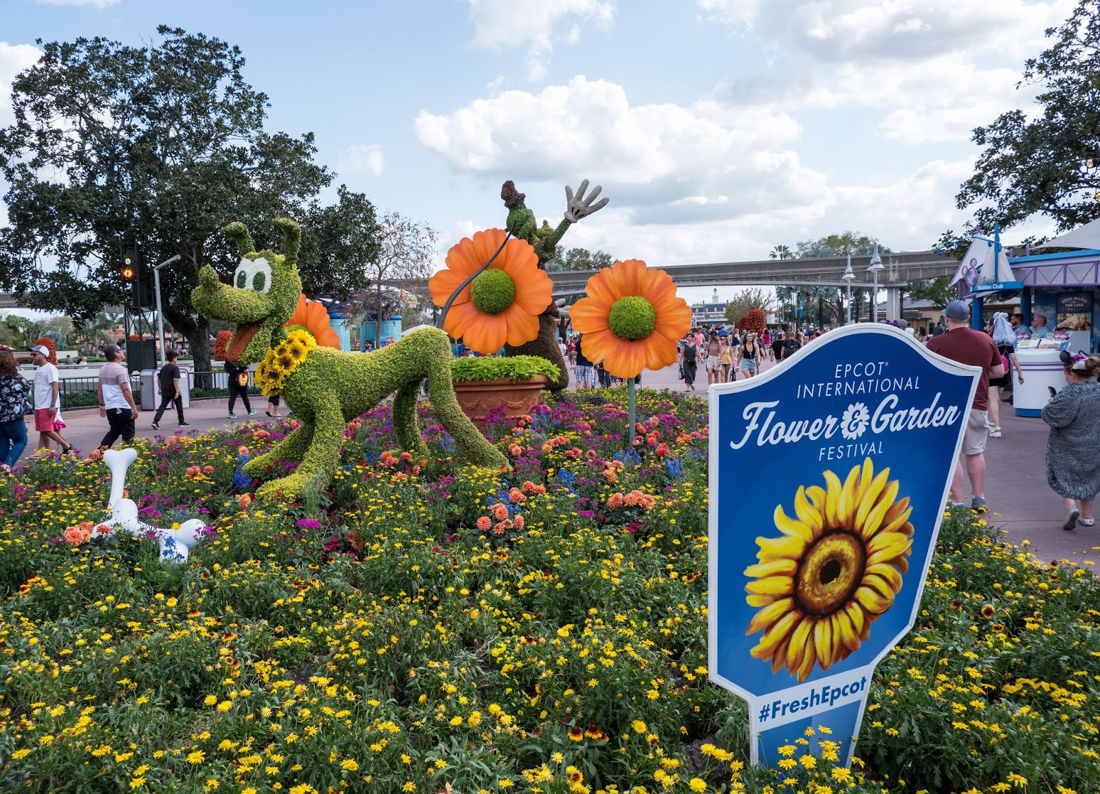 Pluto topiary at the 2019 Epcot International Flower and Garden Festival
