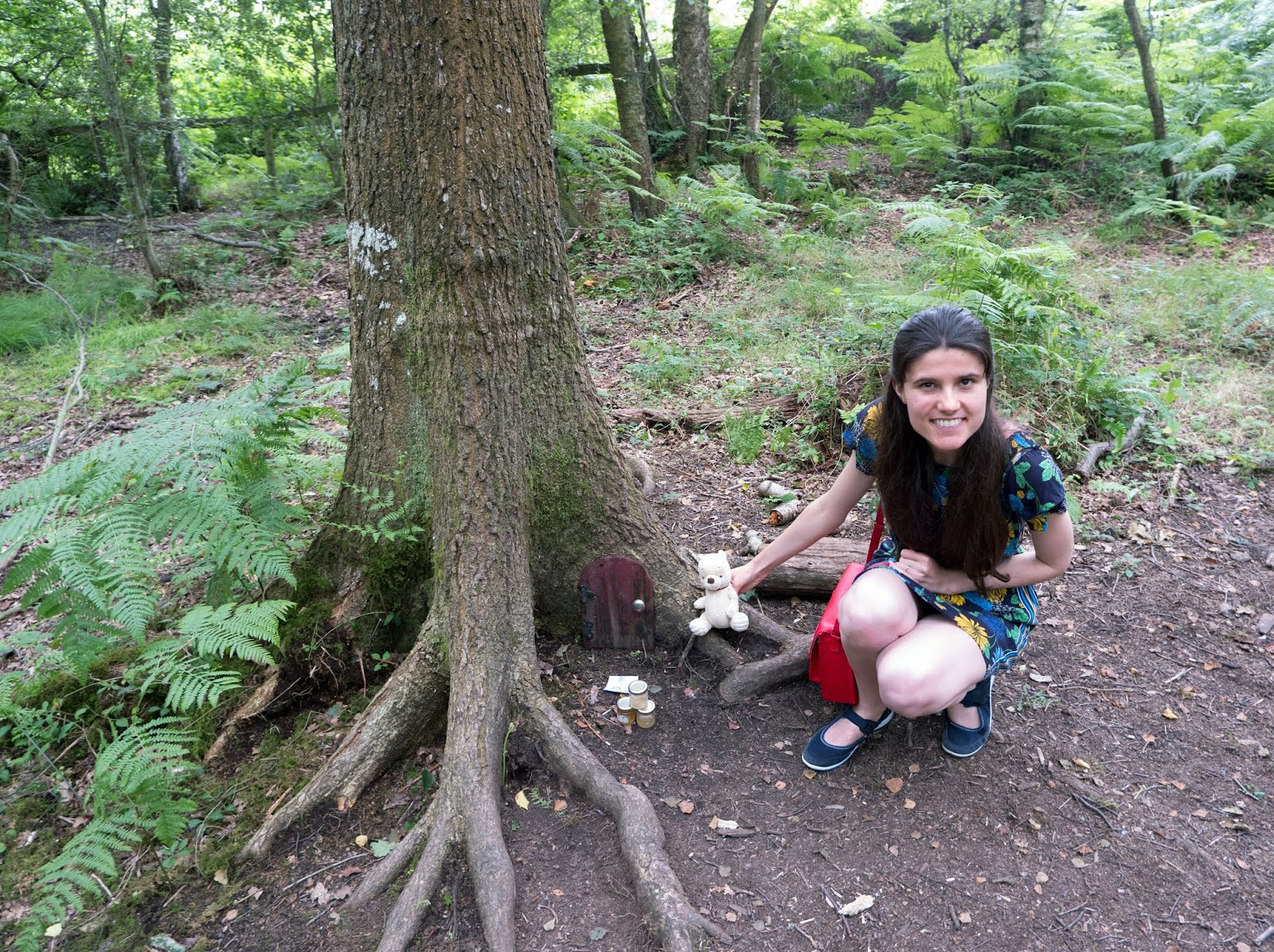 Winnie the Pooh's house in the Ashdown Forest