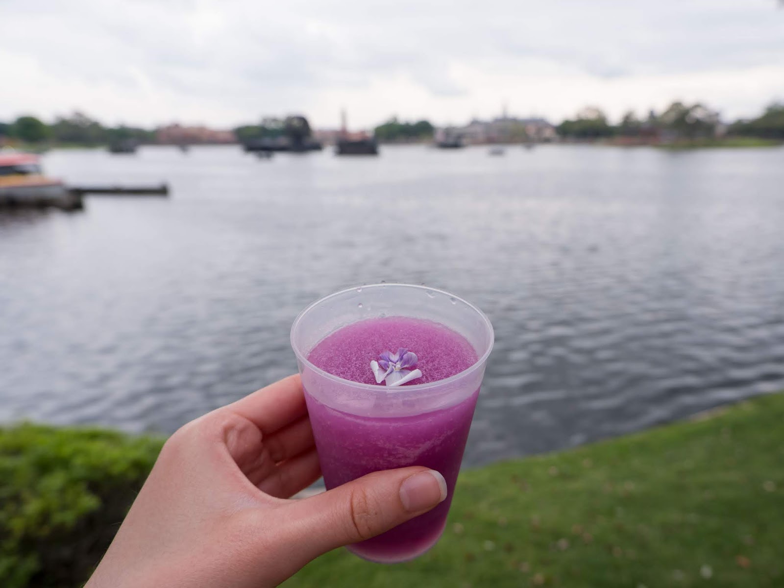 Violet Lemonade at the 2019 Epcot International Flower and Garden Festival
