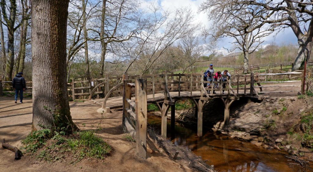 Pooh Bridge, Ashdown Forest