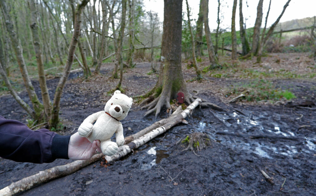 Pooh's house, Ashdown Forest