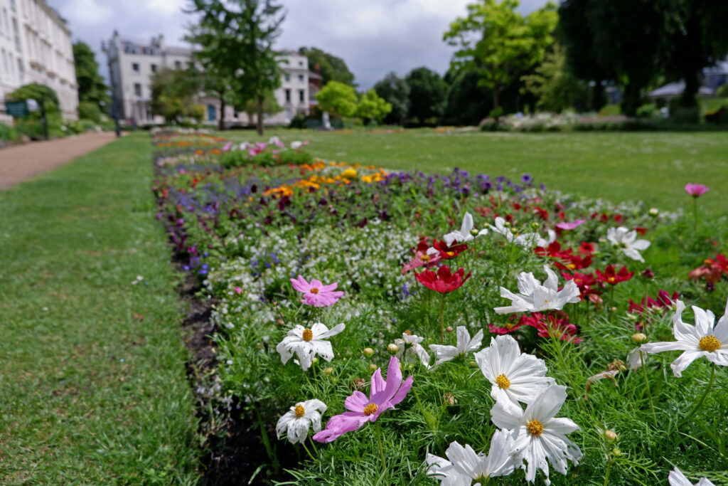 Colourful flowers in Dane John Gardens, Canterbury