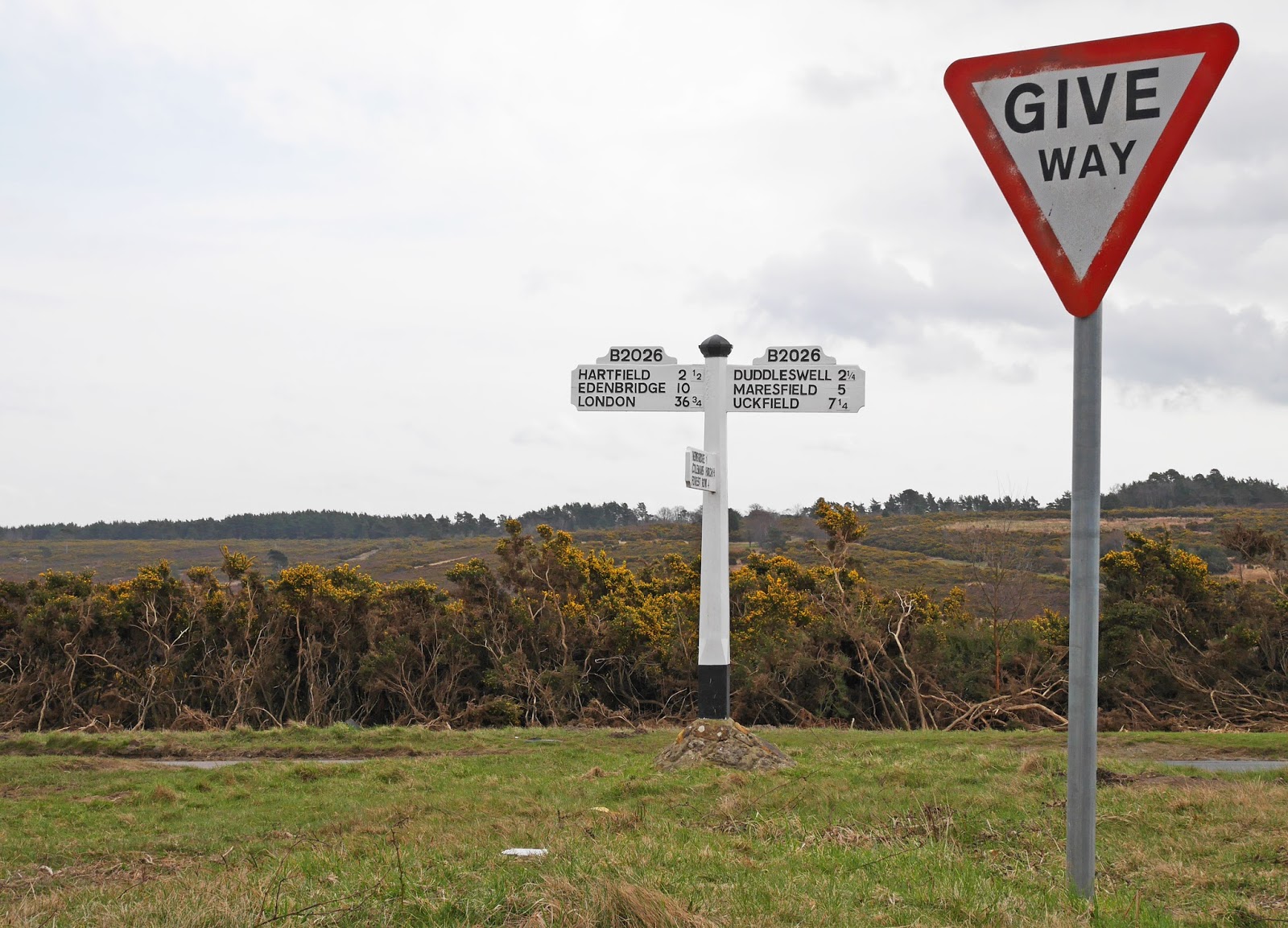 Road sign in Ashdown Forest, East Sussex