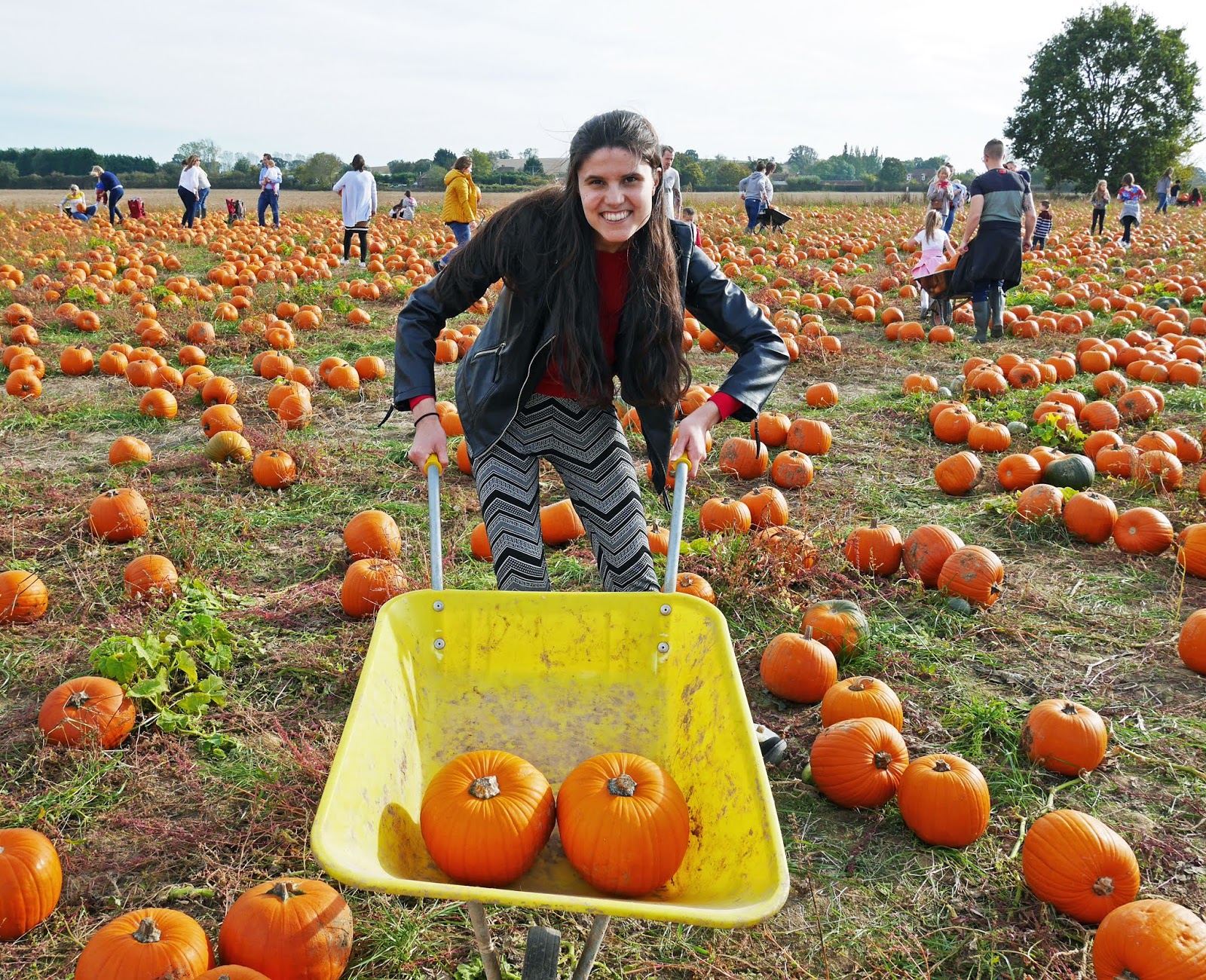 Kat Last at Pick Your Own Pumpkin in Sevington, Ashford