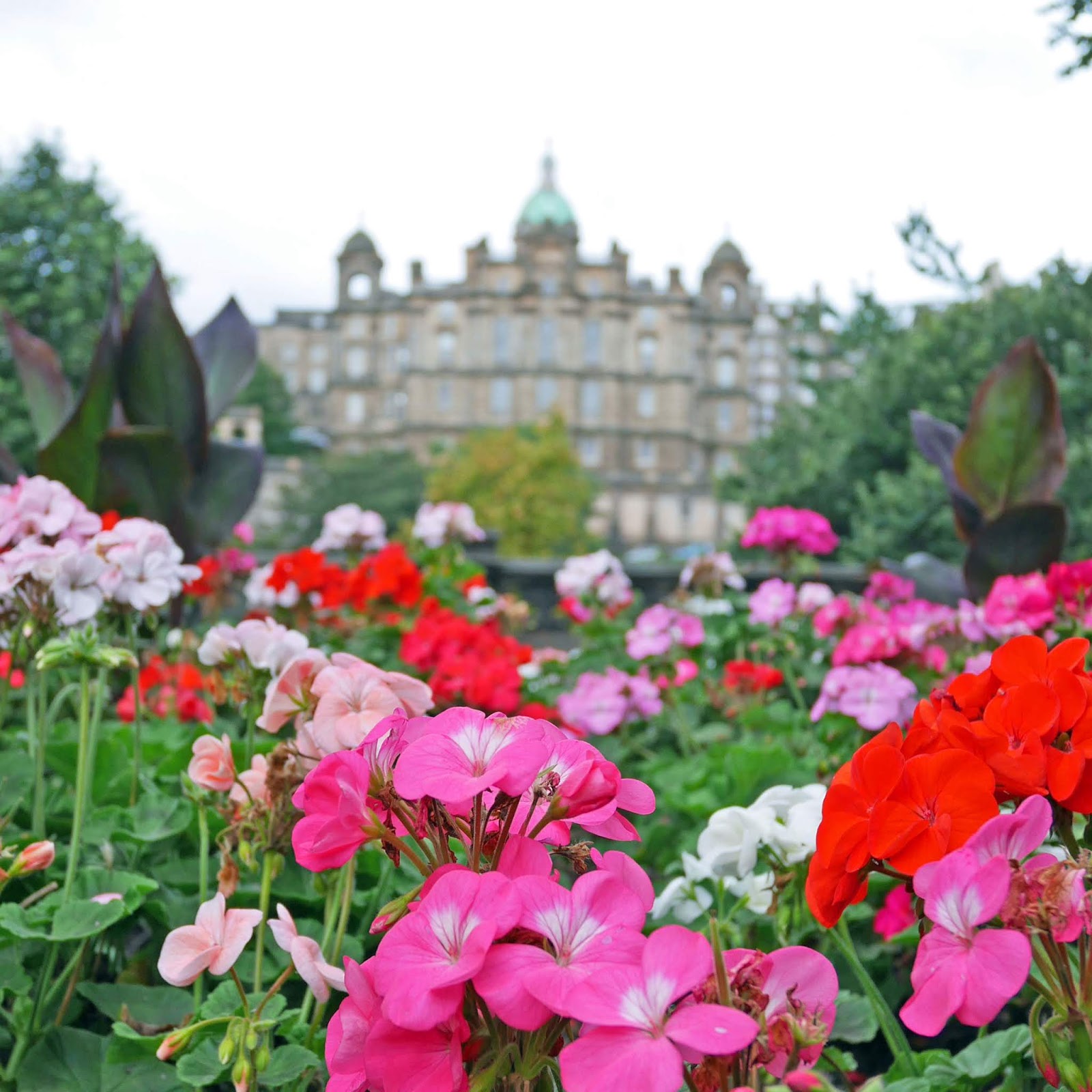 Flowers in Princes Street Gardens, Edinburgh