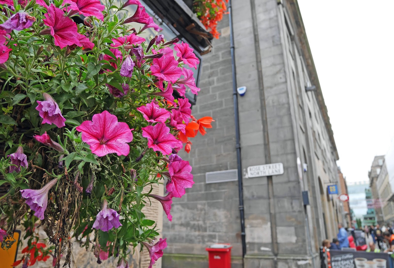 Flowers on Rose Street, Edinburgh