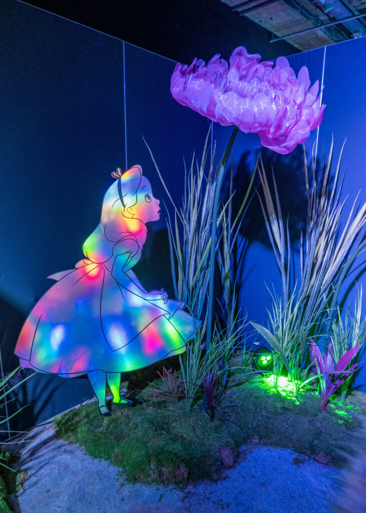 Alice in Wonderland light and flower display at Disney Wonder of Friendship, the Experience
