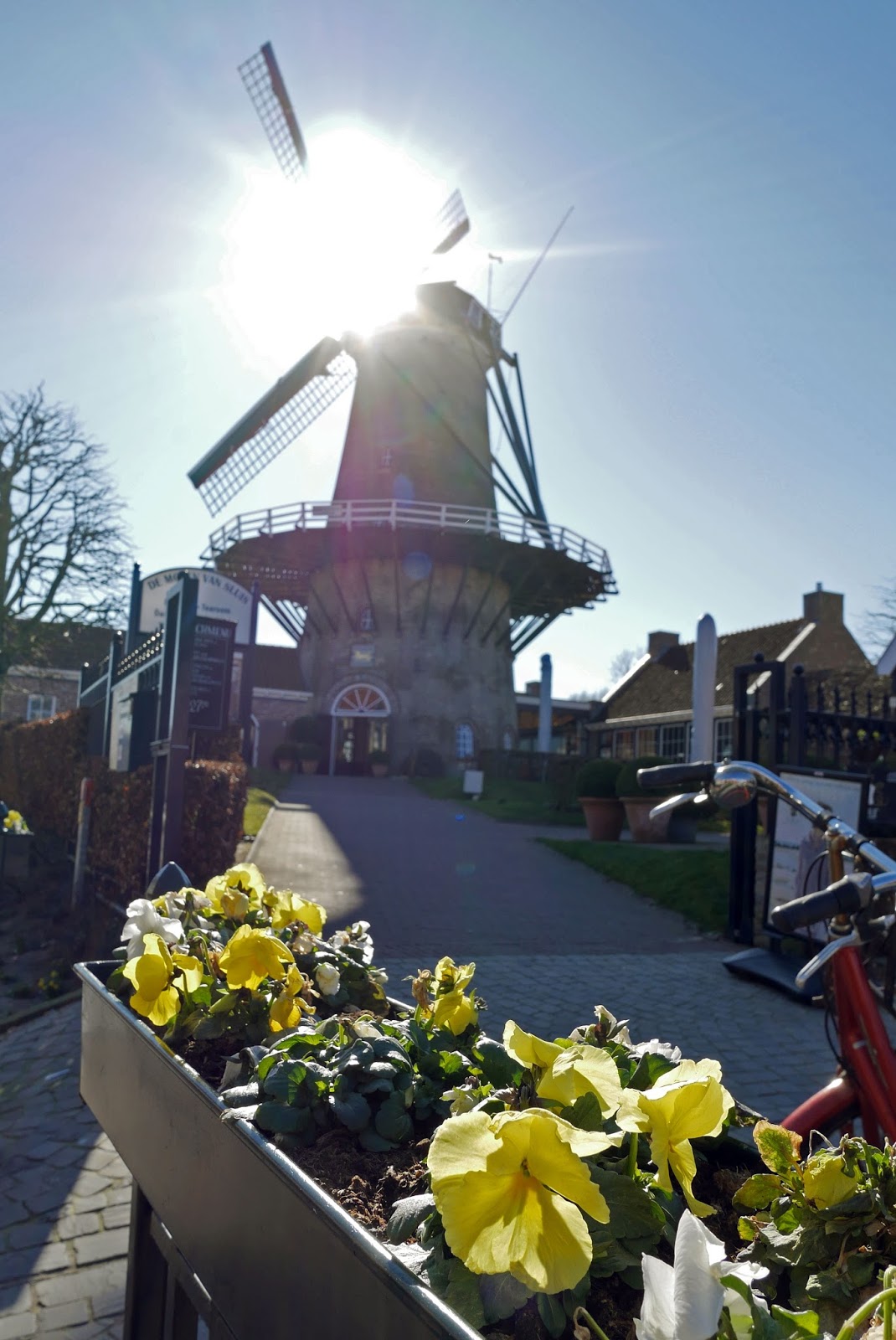Windmill in Sluis, The Netherlands