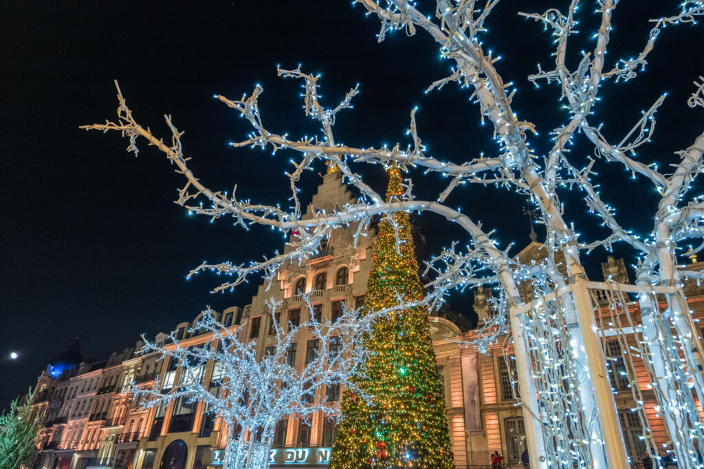Festive lights and the Christmas tree in Lille Grand Place, France