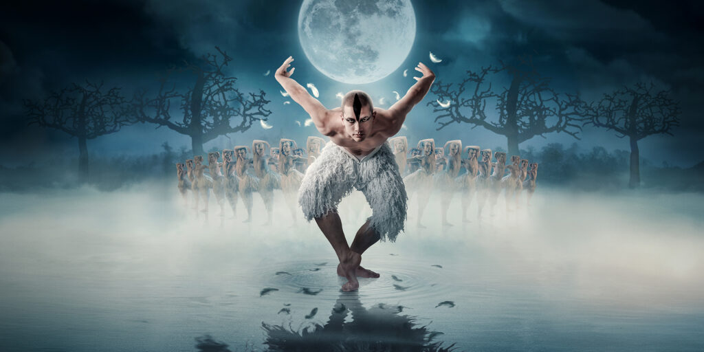 Swan Lake by New Adventures promotional artwork
