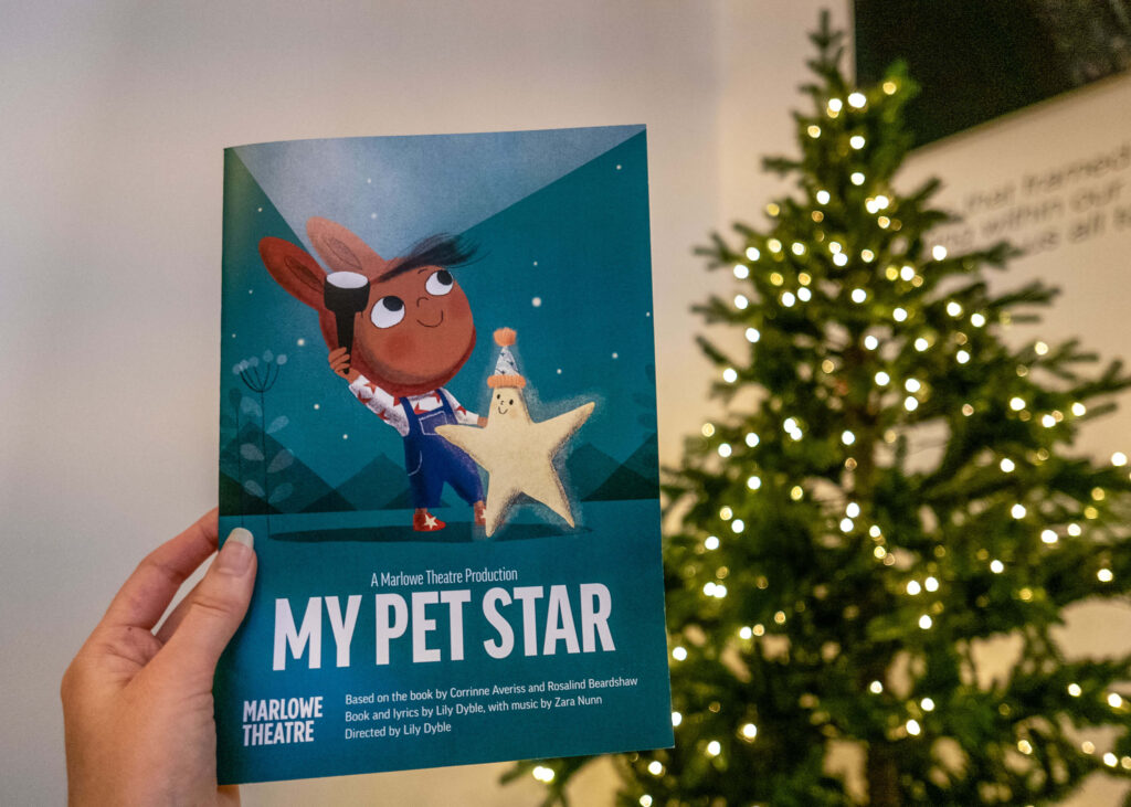 My Pet Star programme in front of the Christmas tree at the Marlowe Theatre, Canterbury